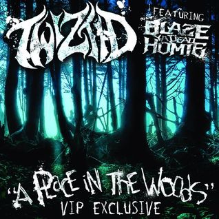 A Place In The Woods