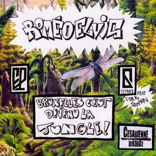 Bruxelles C'est Devenu La Jungle