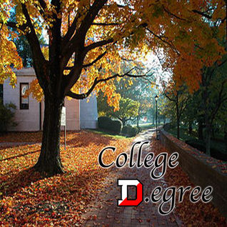 College D.egree