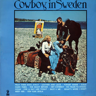 Cowboy in Sweden