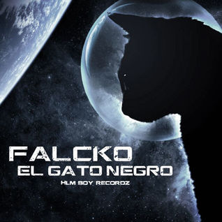 El gato negro