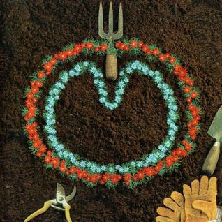 Homegrown: The Wasp Star Home Demos