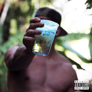 It's Spring Break, Homie