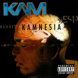 Kamnesia