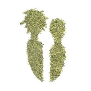 La Folie des Glandeurs