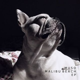 Malibu Beach EP