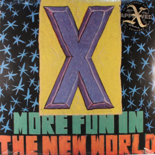 More Fun in the New World