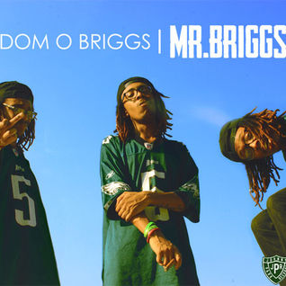 Mr. Briggs LP