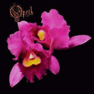 Orchid