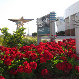 sEMESTER UnO: Shards.