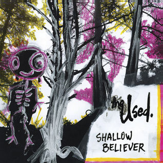 Shallow Believer