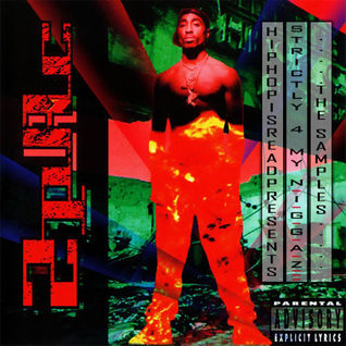 Strictly 4 My N.I.G.G.A.Z...