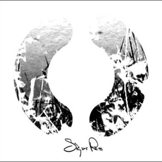Svigaplatan / The Bracket Album