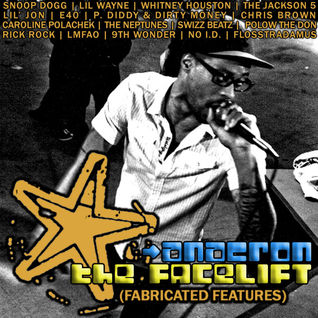 The Facelift: Fabricated Features