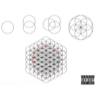 The Flower Of Life EP