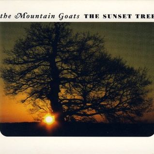 The Sunset Tree