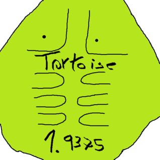 Tortoise 1.9375 - EP