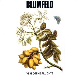 Verbotene Früchte