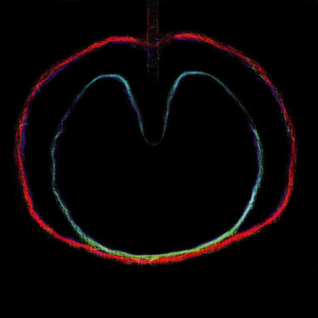 Wasp Star (Apple Venus Volume 2)