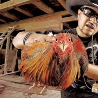 Chingo Bling