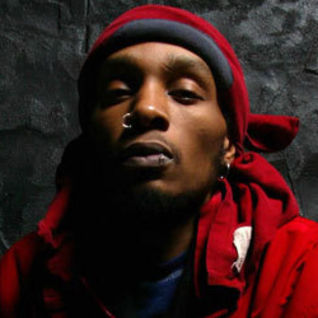 Del the Funky Homosapien