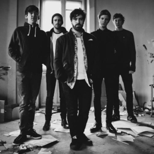 Foals