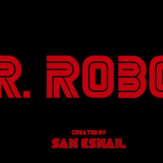 Mr. Robot
