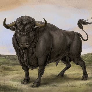 San Fermin