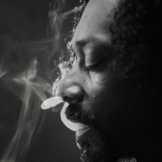 Snoop Lion