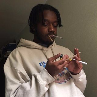 Tino Apex