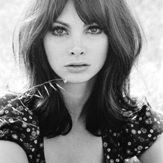 Toni Basil